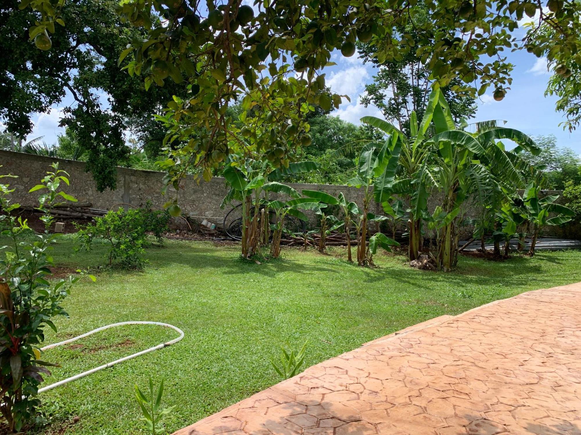 Villa Quinta Yaaxbe Homun Exterior foto