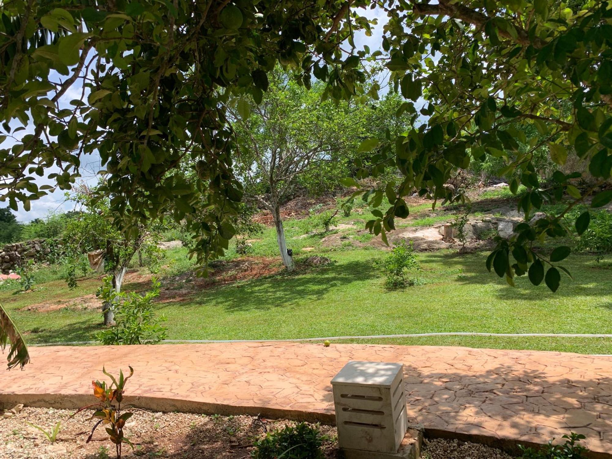 Villa Quinta Yaaxbe Homun Exterior foto