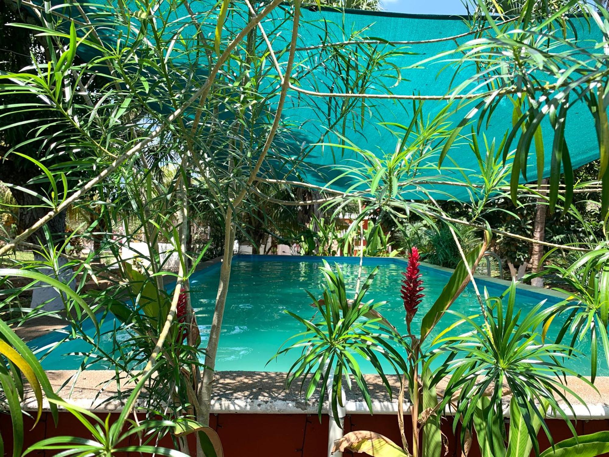 Villa Quinta Yaaxbe Homun Exterior foto